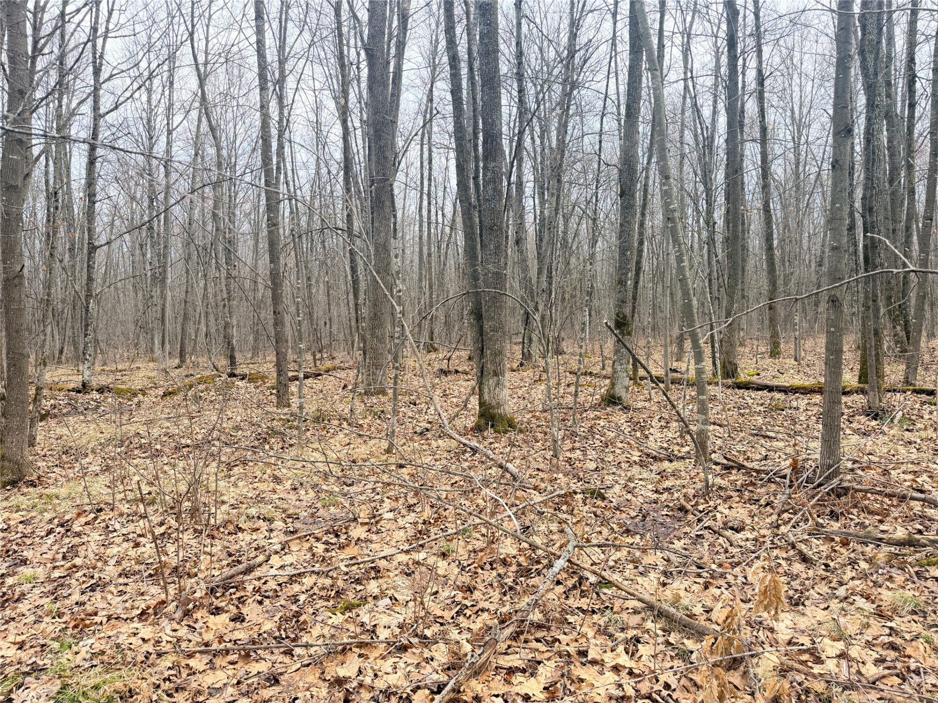 Land at Lot 3 Hwy X, Glen Flora, WI 54526 — photo 21