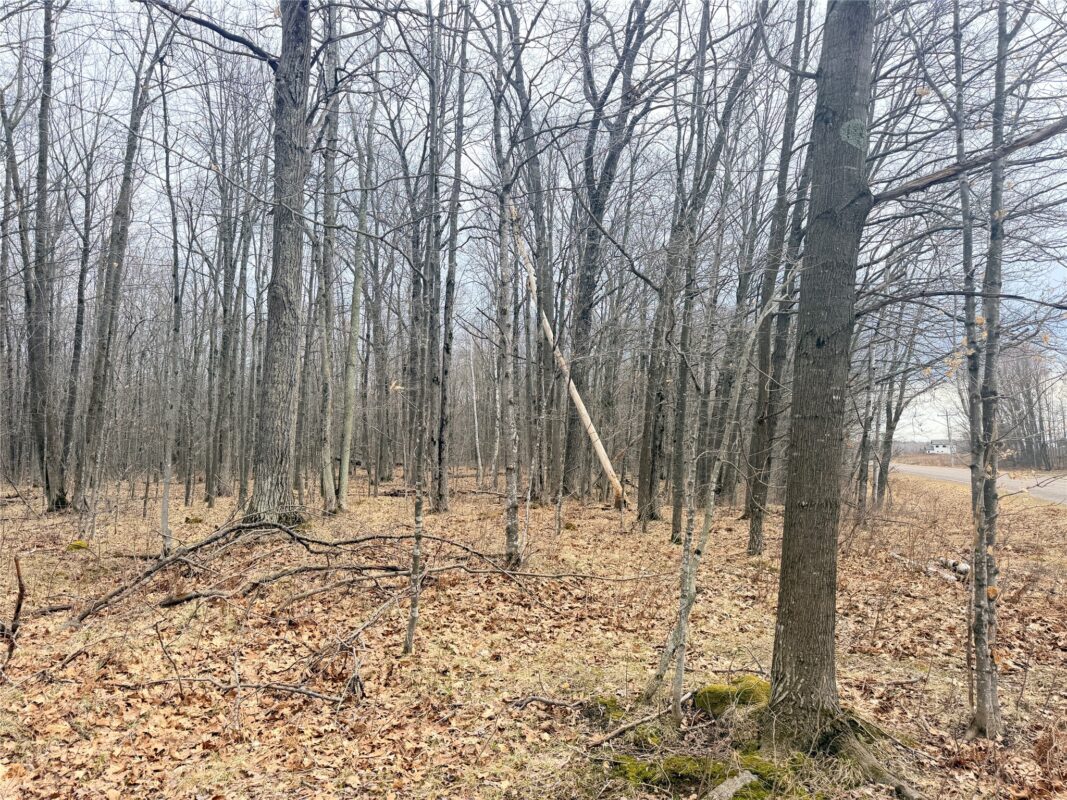 Land at Lot 3 Hwy X, Glen Flora, WI 54526 — photo 25