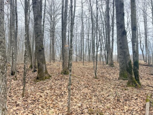 Land at Lot 3 Hwy X, Glen Flora, WI 54526 — photo 1