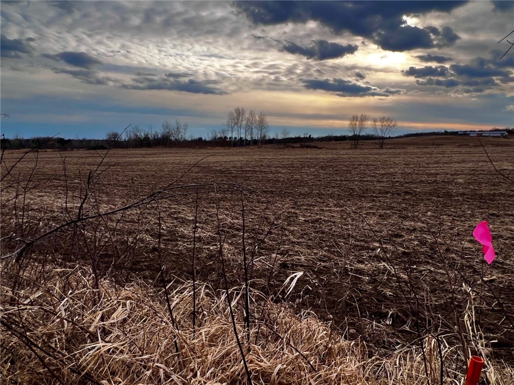 Residential at Lot 3 Main Street, Cadott, WI 54727 — photo 7