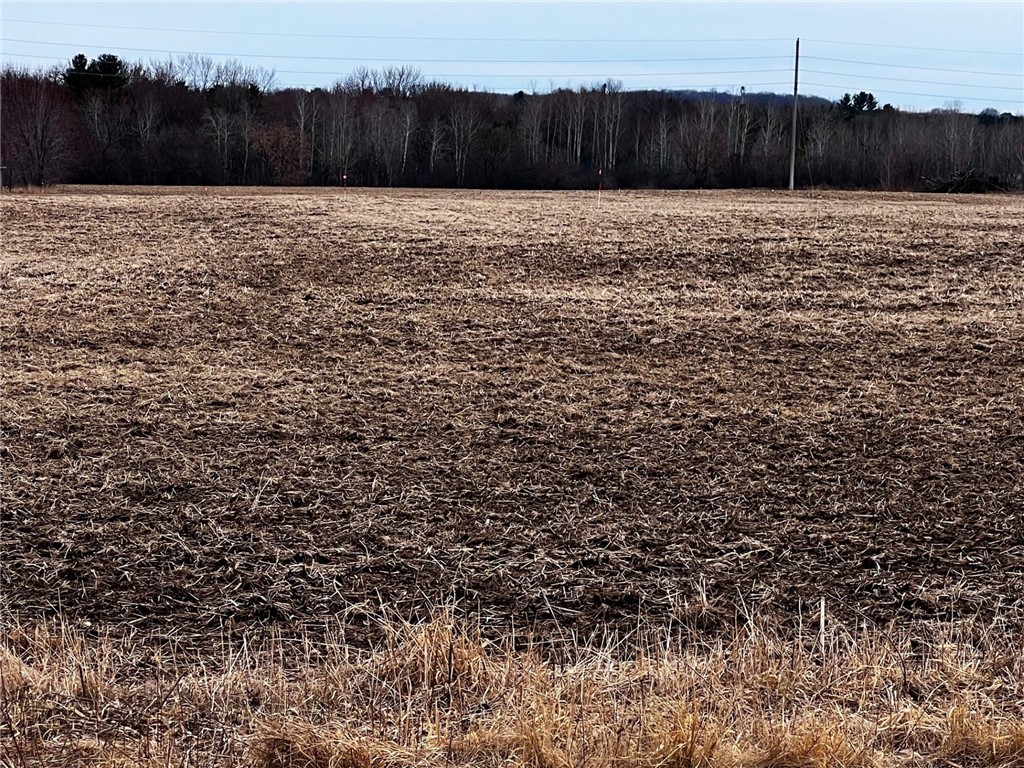 Residential at Lot 3 Main Street, Cadott, WI 54727 — photo 10