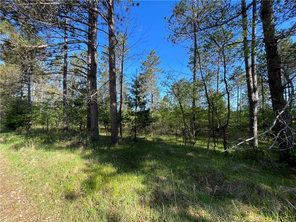 Residential at Lot 3 Murphy Boulevard, Hayward, WI 54843 — photo 2