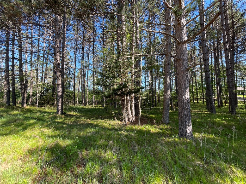 Residential at Lot 3 Murphy Boulevard, Hayward, WI 54843 — photo 5