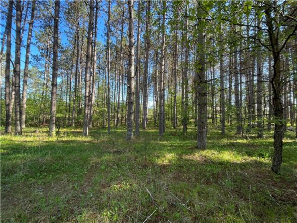 Residential at Lot 3 Murphy Boulevard, Hayward, WI 54843 — photo 1