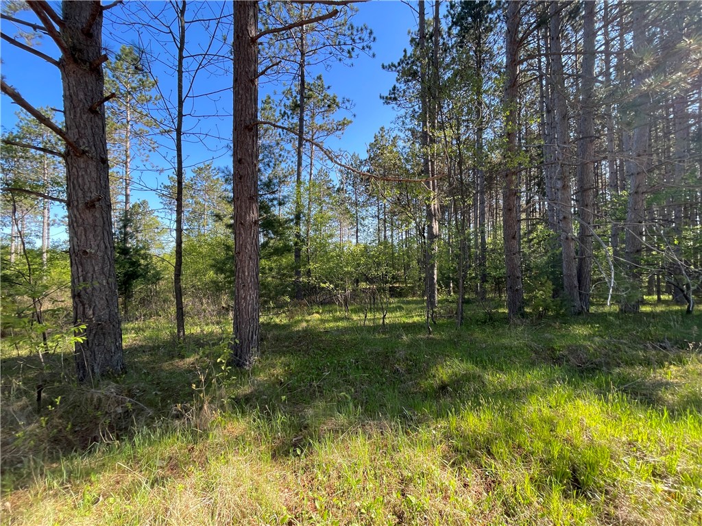 Residential at Lot 3 Murphy Boulevard, Hayward, WI 54843 — photo 10