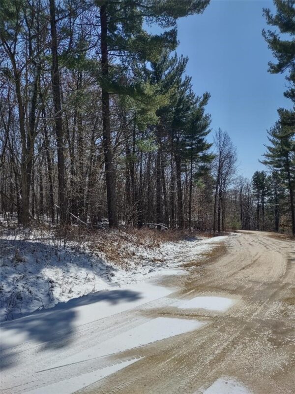 Residential at Lot 35 N4XX 297th Street, Eau Galle, WI 54737 — photo 12