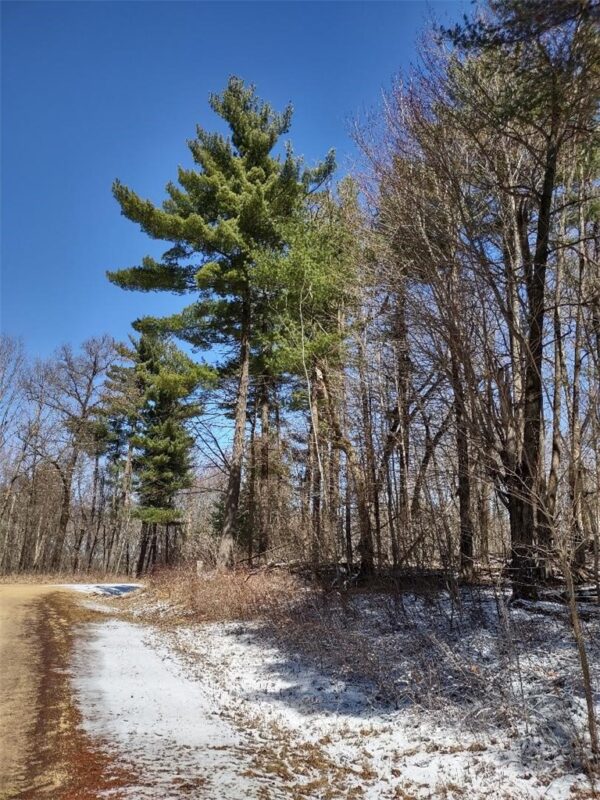 Residential at Lot 35 N4XX 297th Street, Eau Galle, WI 54737 — photo 14