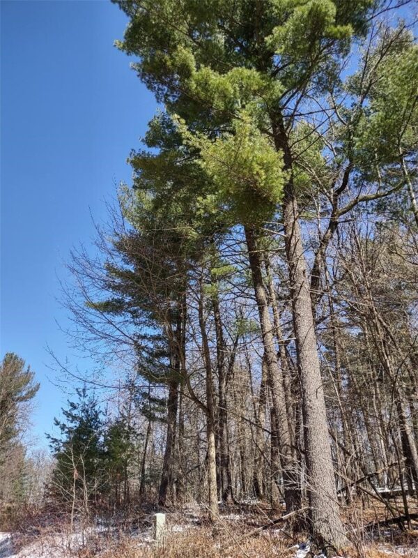 Residential at Lot 35 N4XX 297th Street, Eau Galle, WI 54737 — photo 15