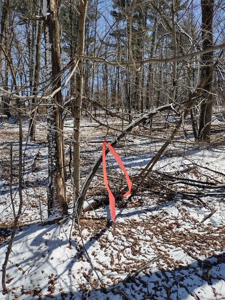 Residential at Lot 35 N4XX 297th Street, Eau Galle, WI 54737 — photo 17