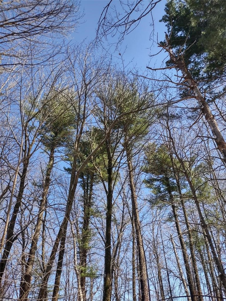 Residential at Lot 35 N4XX 297th Street, Eau Galle, WI 54737 — photo 18