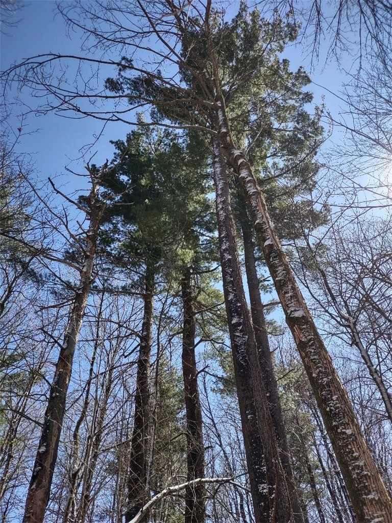 Residential at Lot 35 N4XX 297th Street, Eau Galle, WI 54737 — photo 19