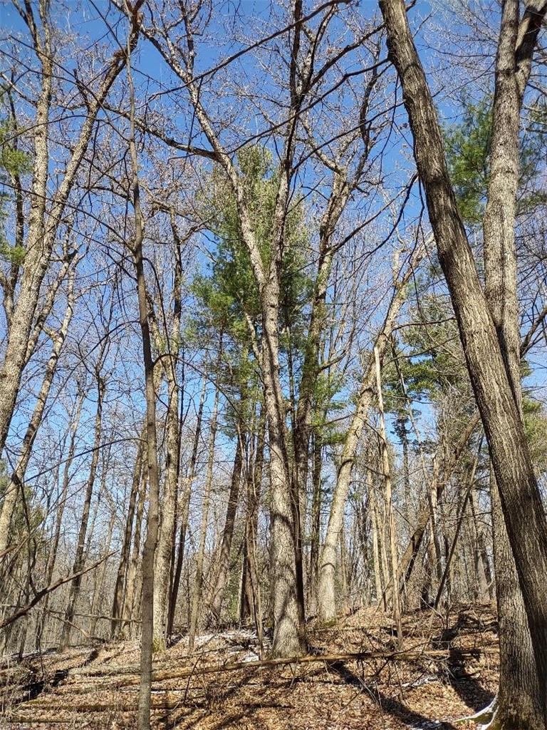 Residential at Lot 35 N4XX 297th Street, Eau Galle, WI 54737 — photo 20