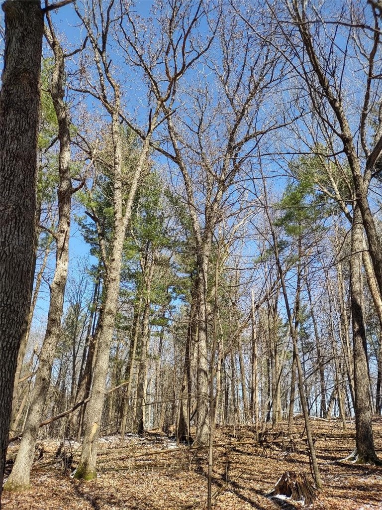 Residential at Lot 35 N4XX 297th Street, Eau Galle, WI 54737 — photo 21