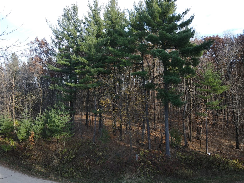 Residential at Lot 35 N4XX 297th Street, Eau Galle, WI 54737 — photo 5