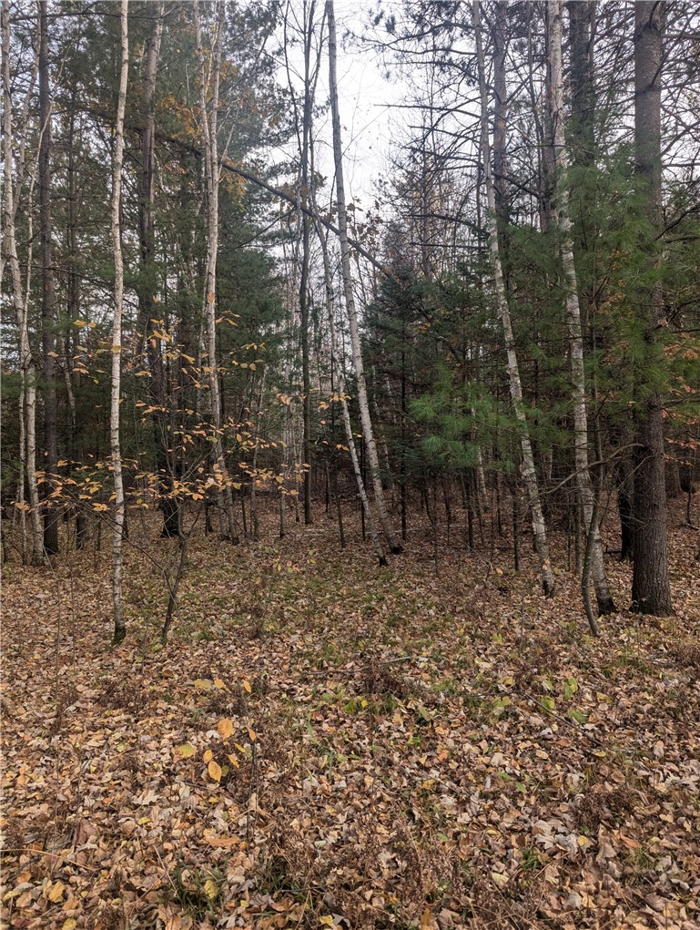 Lot 4 297th Avenue, Holcombe, WI — photo 3