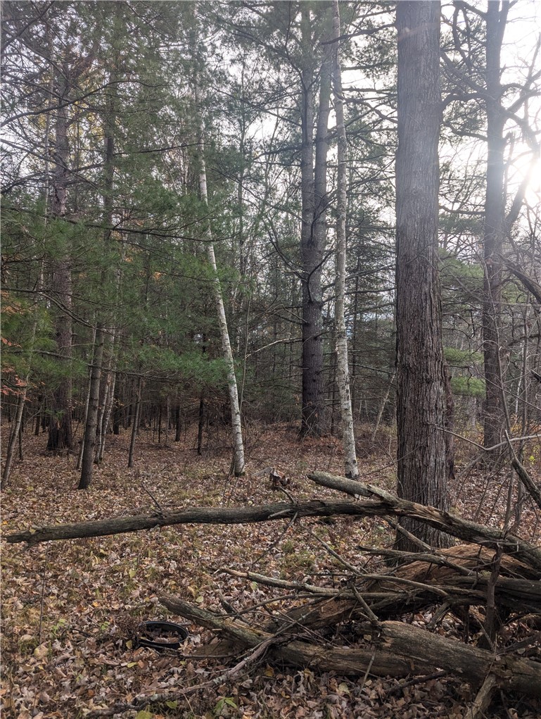 Lot 4 297th Avenue, Holcombe, WI — photo 4