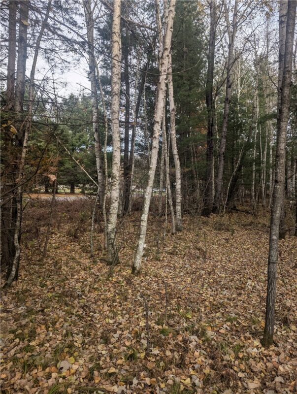 Lot 4 297th Avenue, Holcombe, WI — photo 5