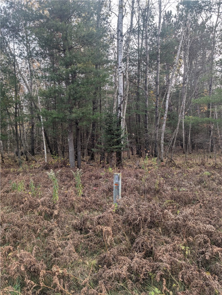 Lot 4 297th Avenue, Holcombe, WI — photo 6