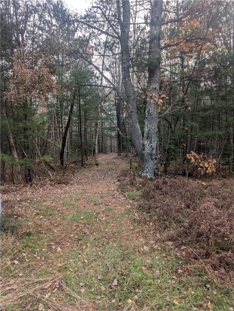 Lot 4 297th Avenue, Holcombe, WI — photo 7