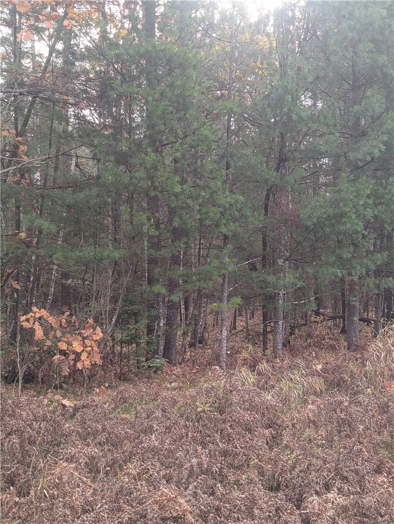 Lot 4 297th Avenue, Holcombe, WI — photo 8