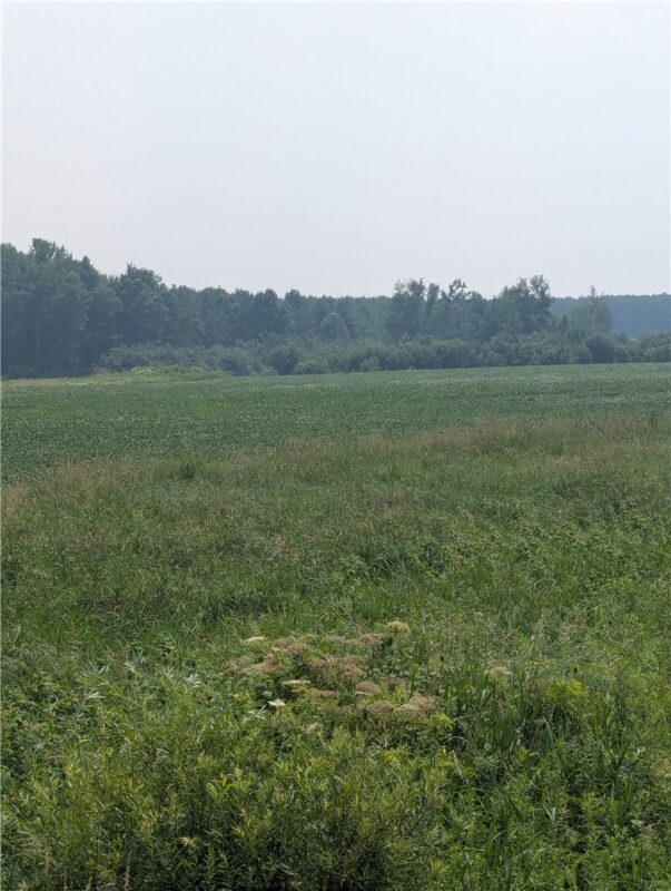 Lot 4 County Highway W, Holcombe, WI — photo 3
