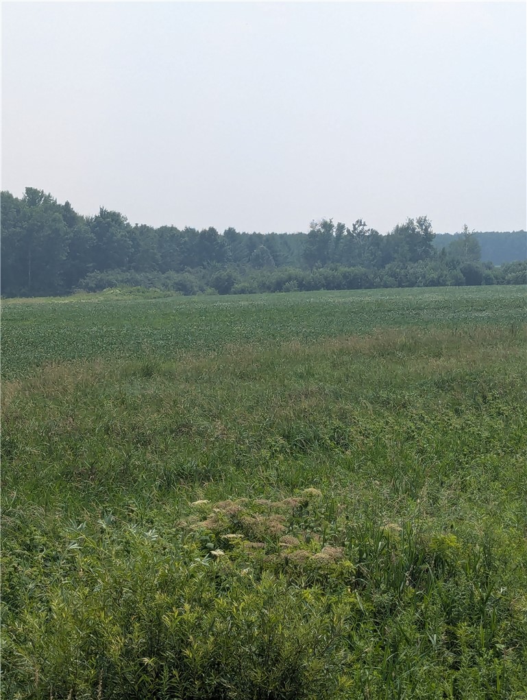 Lot 4 County Highway W, Holcombe, WI — photo 3
