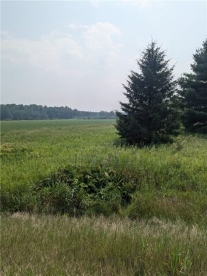 Lot 4 County Highway W, Holcombe, WI
