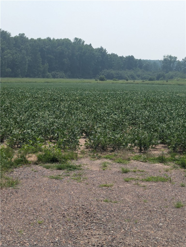 Lot 4 County Highway W, Holcombe, WI — photo 5