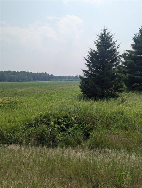 Lot 4 County Highway W 