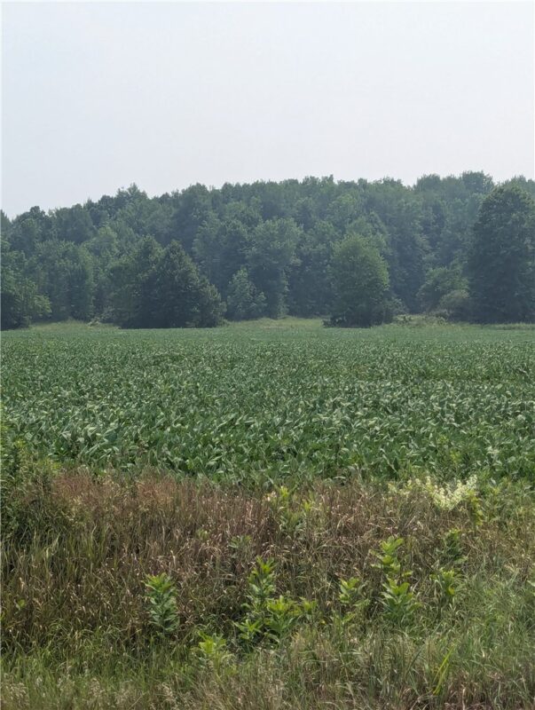 Lot 4 County Highway W, Holcombe, WI — photo 6