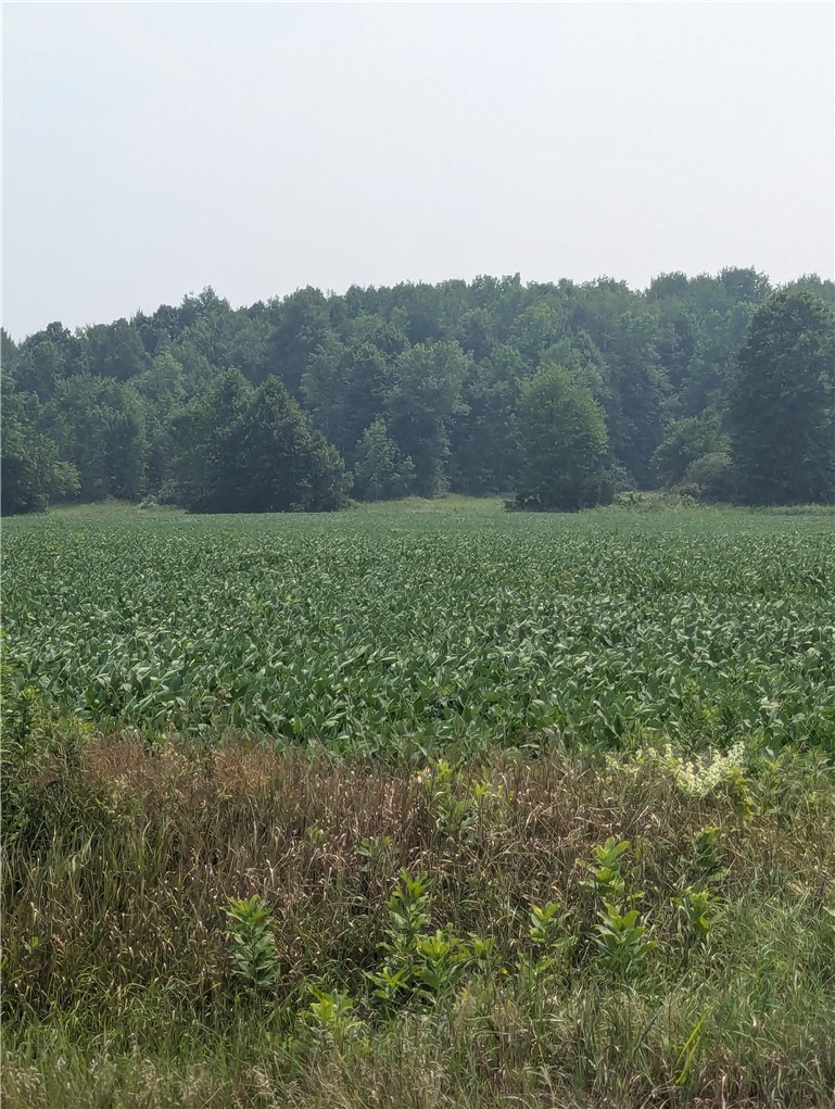 Lot 4 County Highway W, Holcombe, WI — photo 6