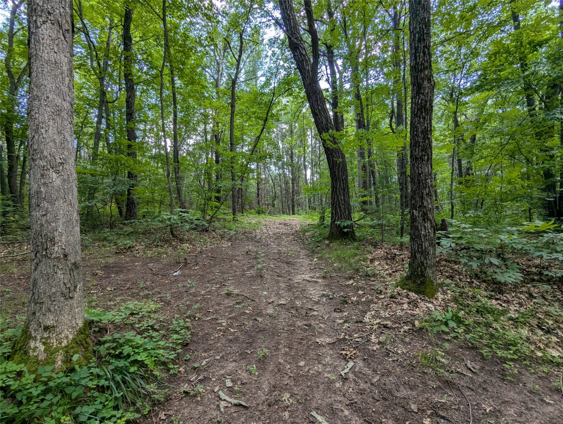 Residential at Lot 4 Fosmo, Webster, WI 54893 — photo 2