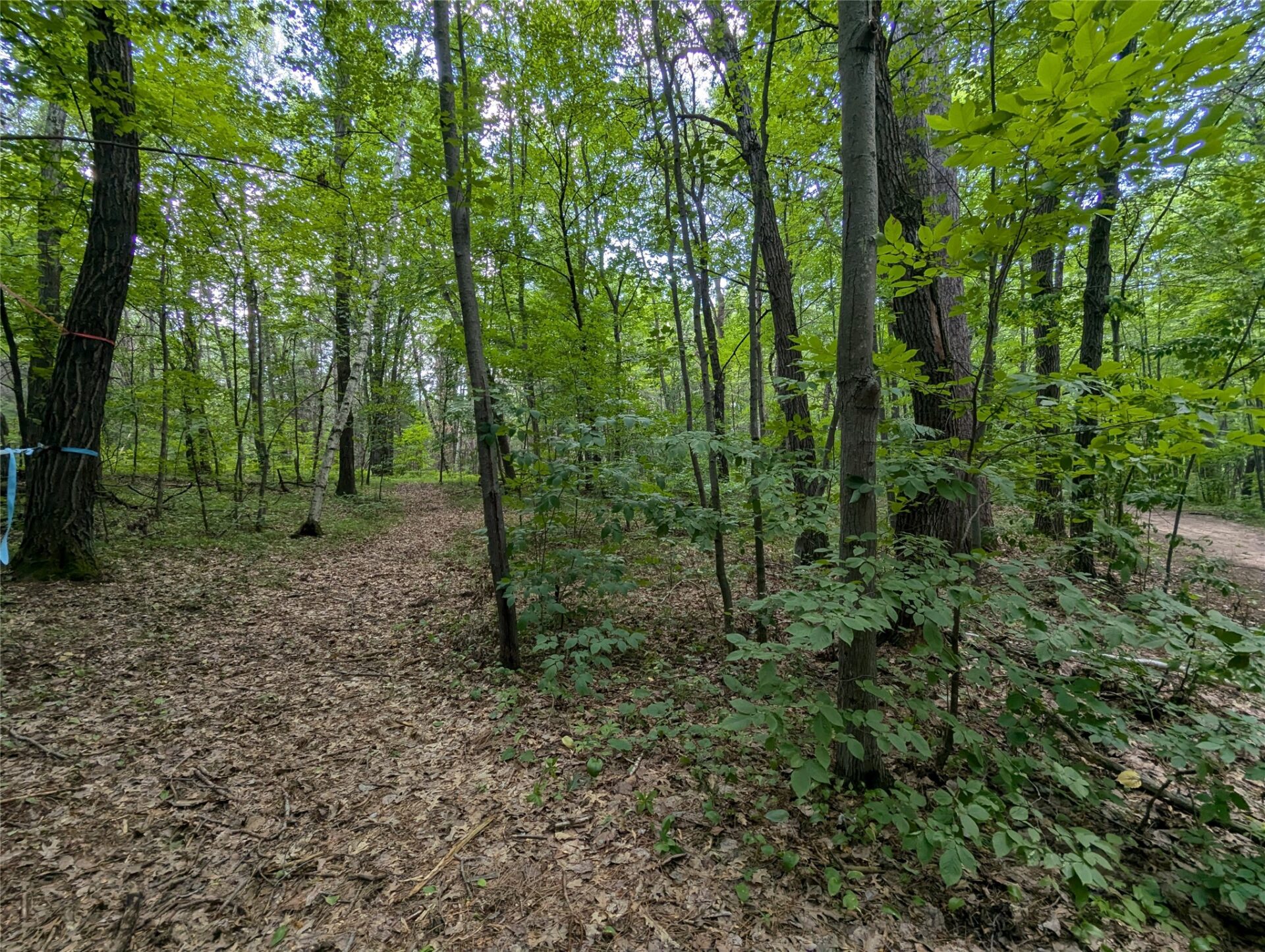 Residential at Lot 4 Fosmo, Webster, WI 54893 — photo 1