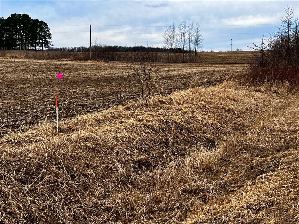 Residential at Lot 4 Main Street, Cadott, WI 54727 — photo 5