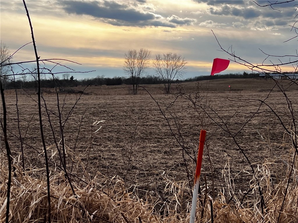 Residential at Lot 4 Main Street, Cadott, WI 54727 — photo 6