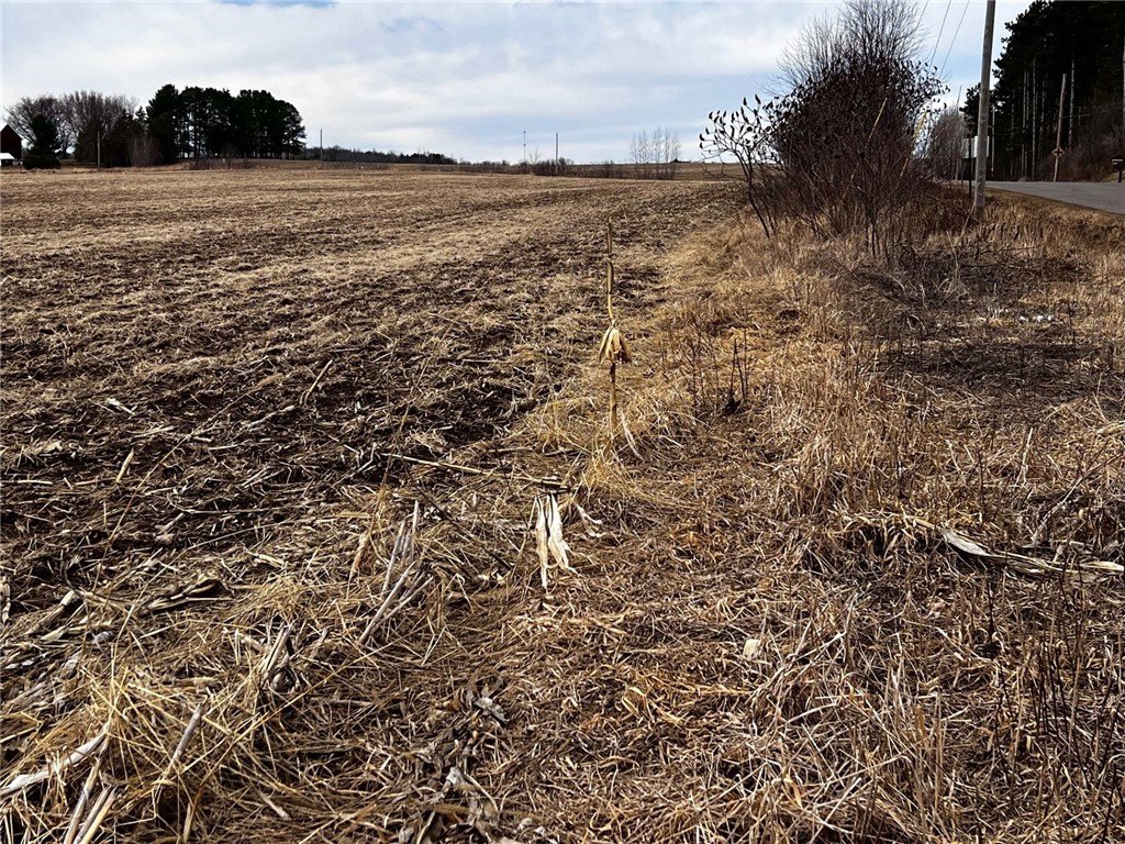 Residential at Lot 4 Main Street, Cadott, WI 54727 — photo 8