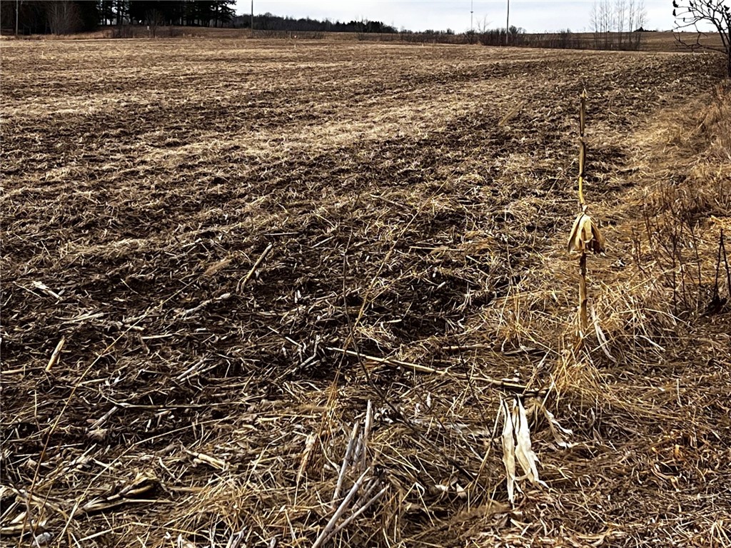 Residential at Lot 4 Main Street, Cadott, WI 54727 — photo 9