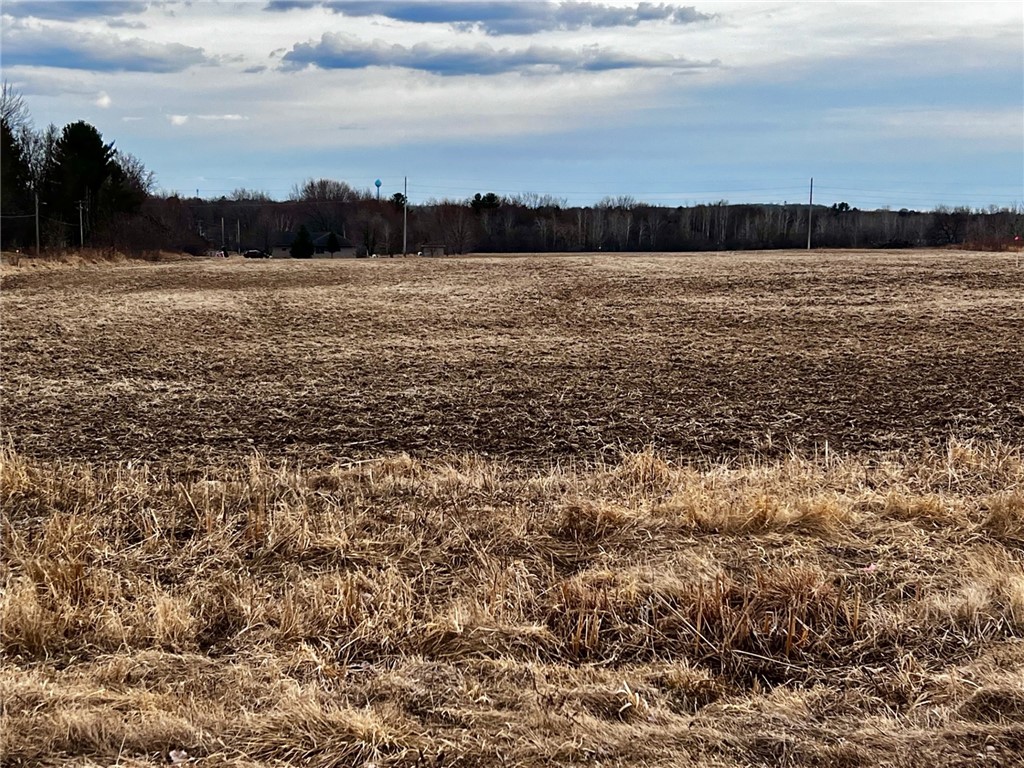 Residential at Lot 4 Main Street, Cadott, WI 54727 — photo 10