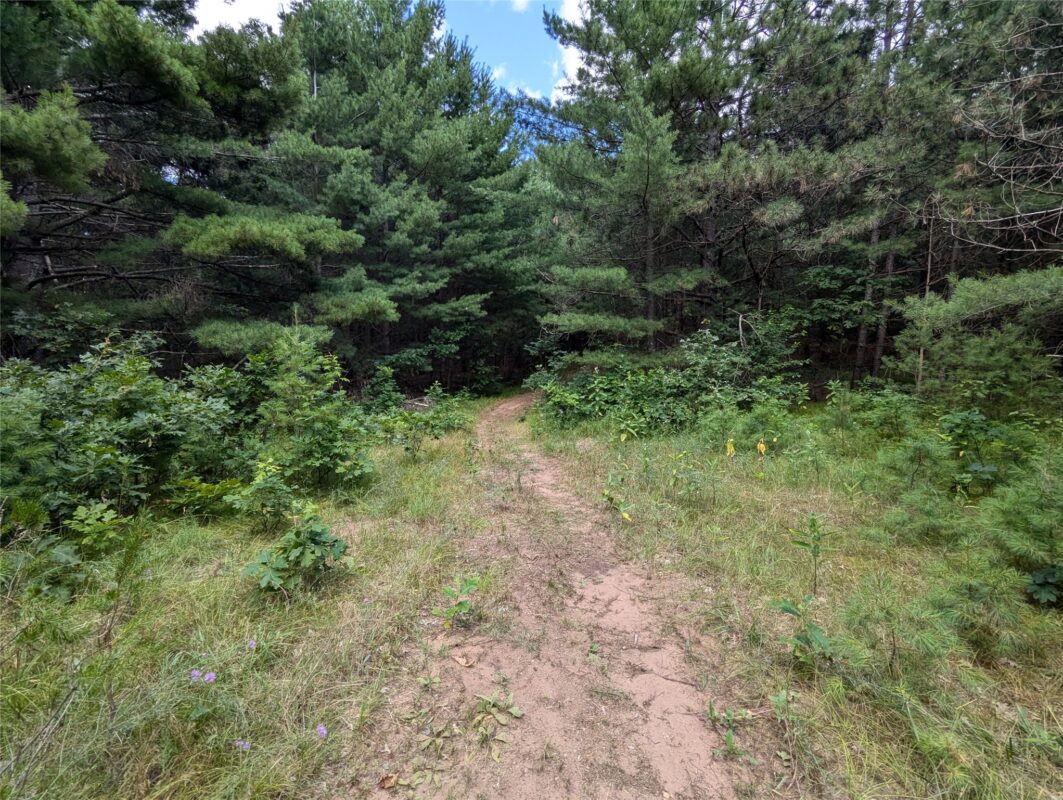 Residential at Lot 5 Fosmo, Webster, WI 54893 — photo 2