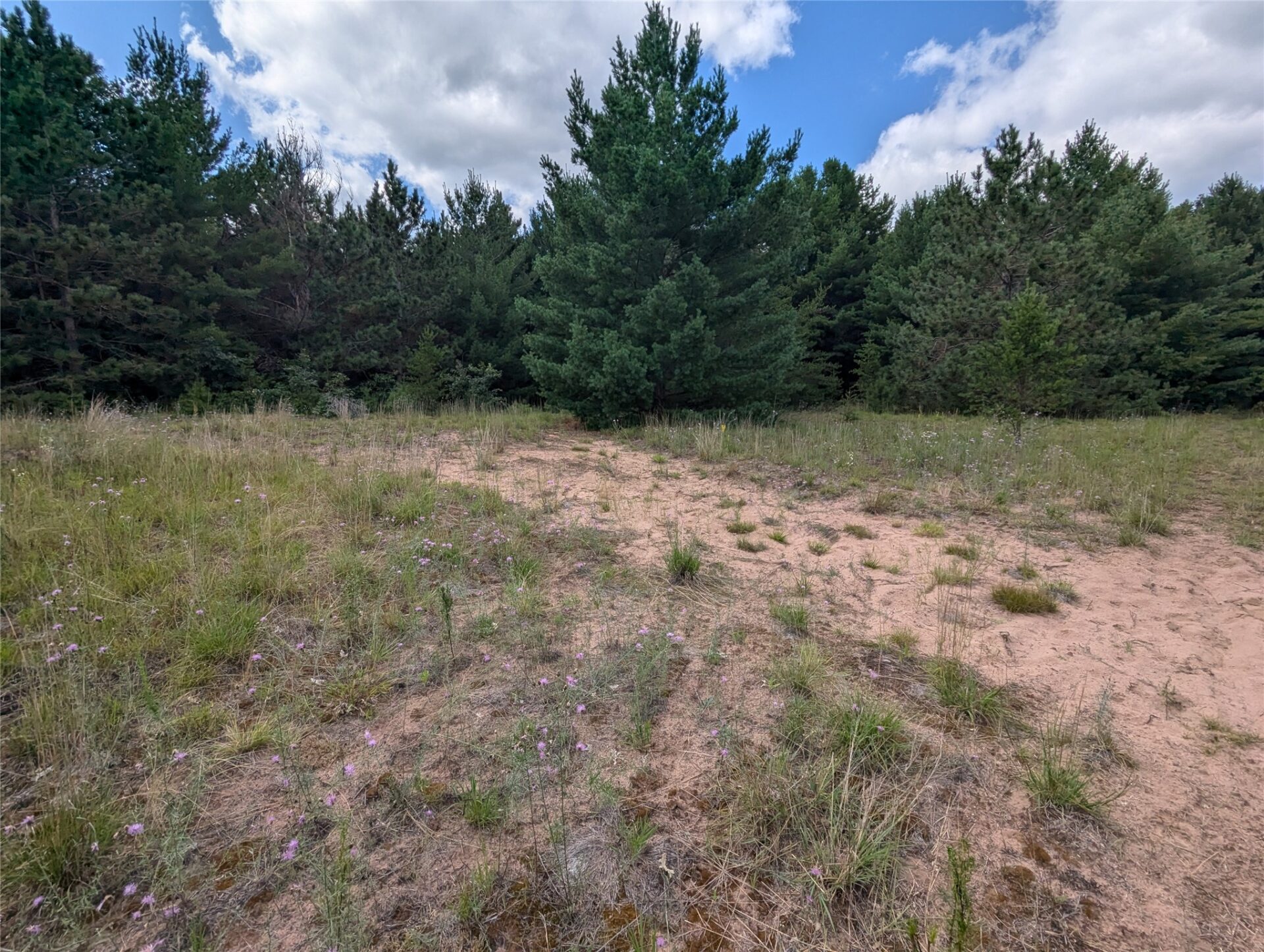 Residential at Lot 5 Fosmo, Webster, WI 54893 — photo 3