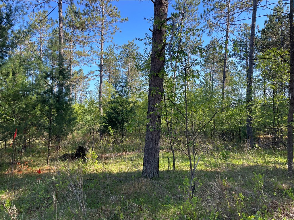 Residential at Lot 6 Hermosa Lane, Hayward, WI 54843 — photo 3