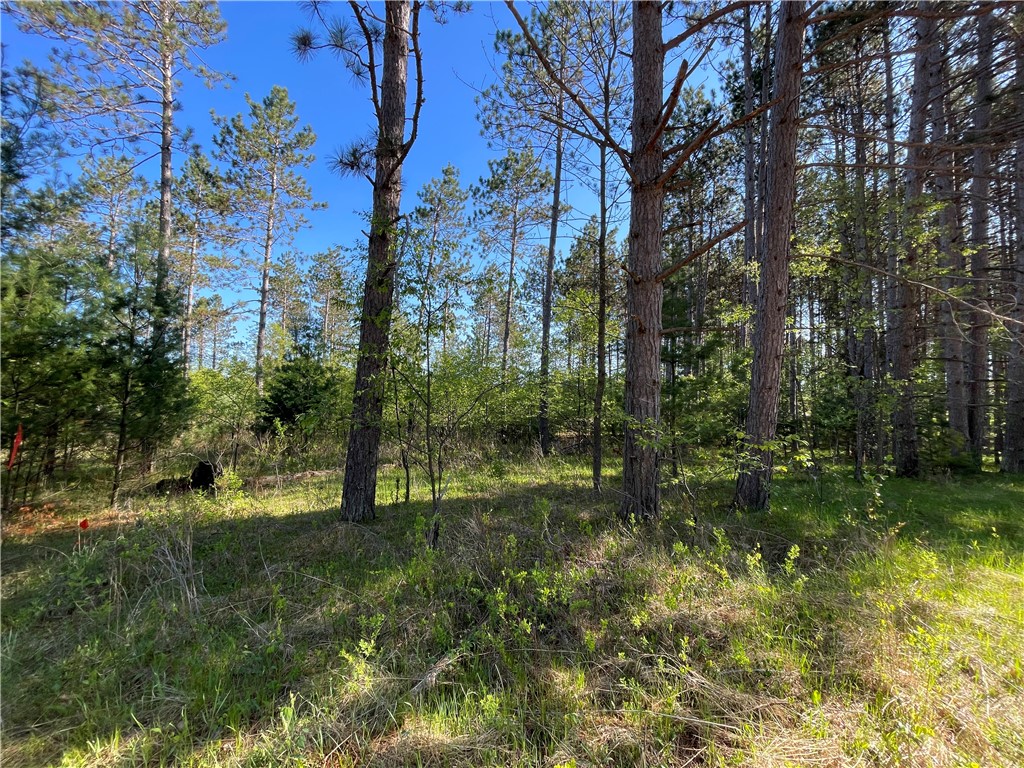 Residential at Lot 6 Hermosa Lane, Hayward, WI 54843 — photo 4