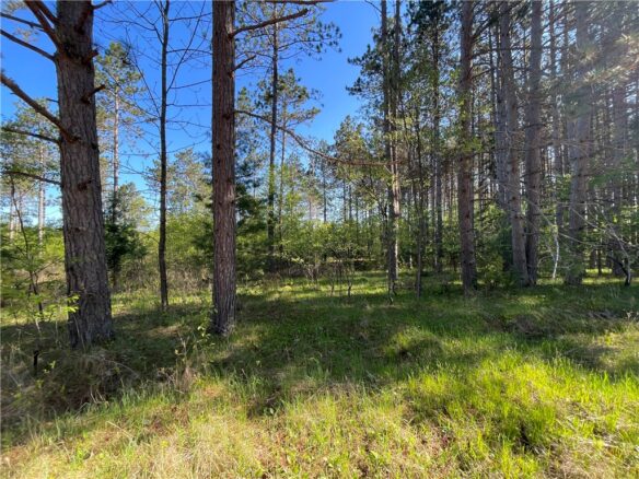 Residential at Lot 6 Hermosa Lane, Hayward, WI 54843 — photo 1