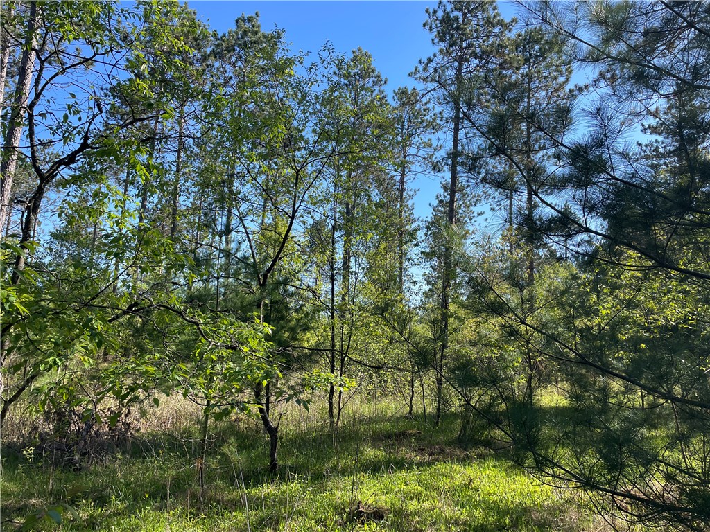 Residential at Lot 6 Hermosa Lane, Hayward, WI 54843 — photo 9