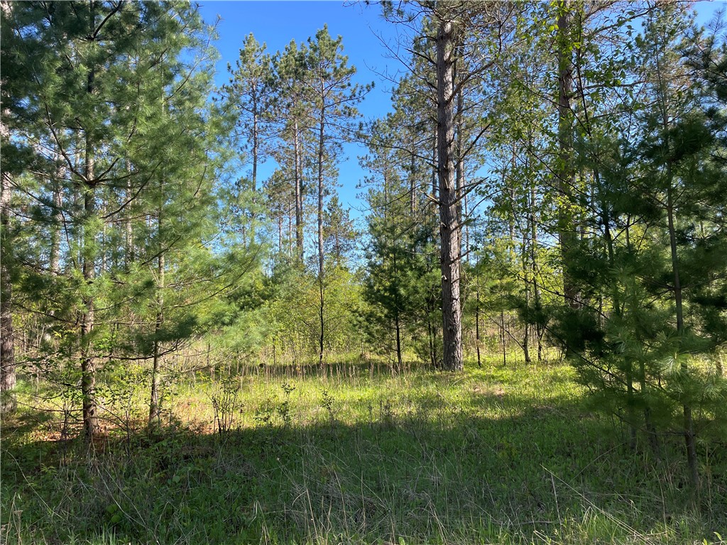 Residential at Lot 6 Hermosa Lane, Hayward, WI 54843 — photo 10