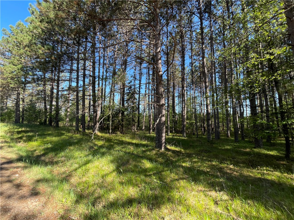 Residential at Lot 7 Hermosa Lane, Hayward, WI 54843 — photo 3