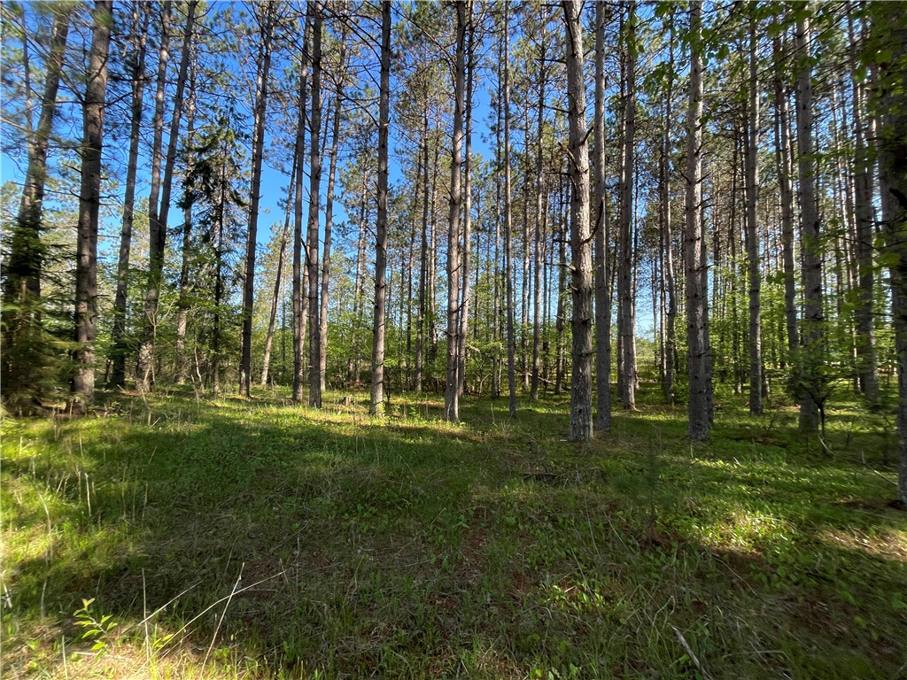 Residential at Lot 7 Hermosa Lane, Hayward, WI 54843 — photo 4