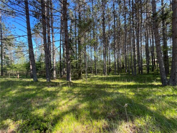 Residential at Lot 7 Hermosa Lane, Hayward, WI 54843 — photo 1