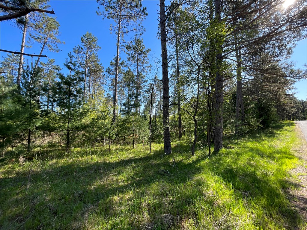 Residential at Lot 7 Hermosa Lane, Hayward, WI 54843 — photo 8