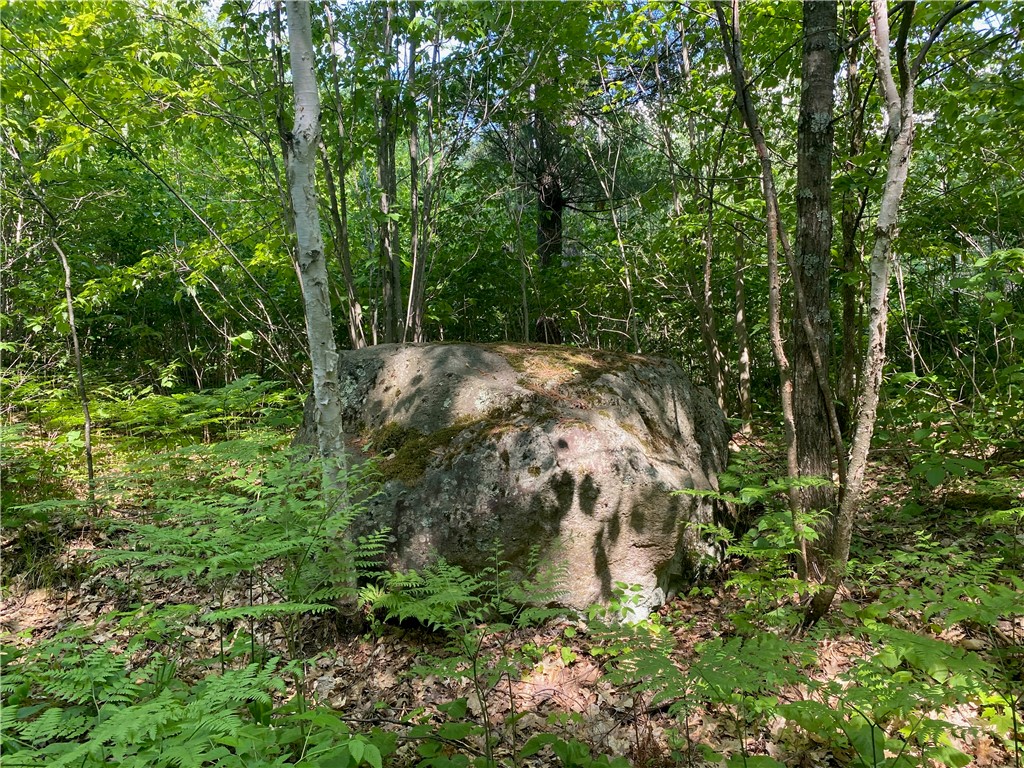 Residential at Lot 7 Secluded Trail, Hayward, WI 54843 — photo 11